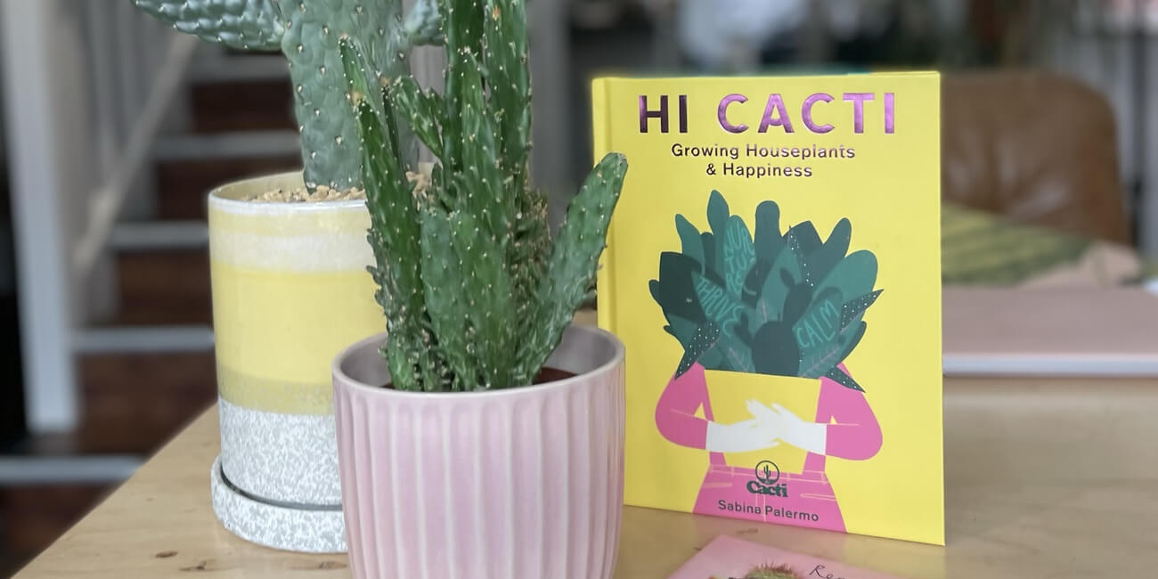 Christmas Gift Guide Hi Cacti
